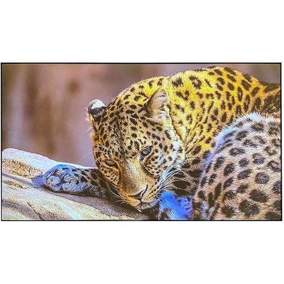 100 inch wall mount screen