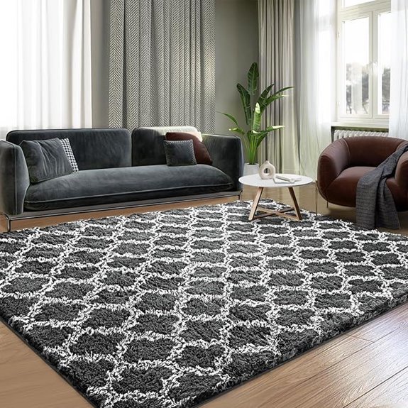 Shag 5x7 Feet Area Rug for Living Room