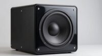 affordable deep bass subs
