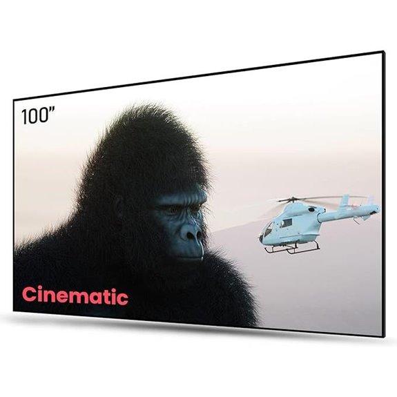 AWOL VISION 100 ALR Fixed Frame Projector Screen