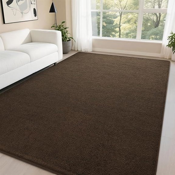 DweIke 6x9 Dark Brown Memory Foam Area Rug