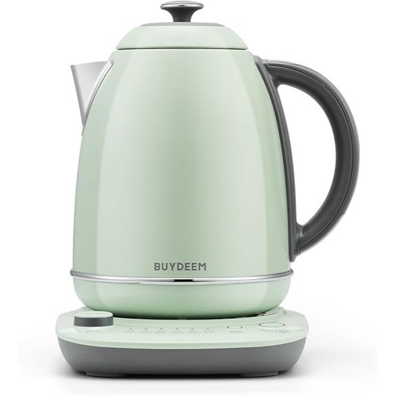BUYDEEM K740 Electric Kettle with Temp Control