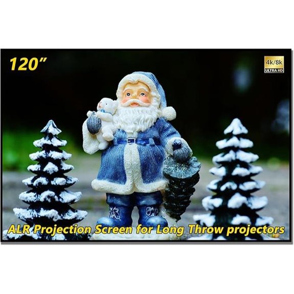 ALR 120 Fixed Frame Projector Screen for Movies