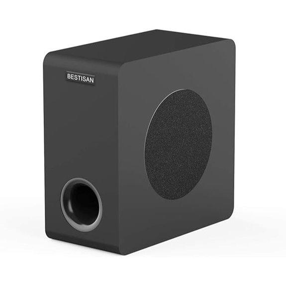 BESTISAN 6.5 Subwoofer for Home Theater Systems