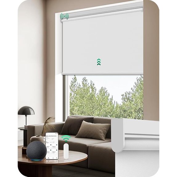 Allesin Motorized Remote-Controlled Blackout Window Blinds