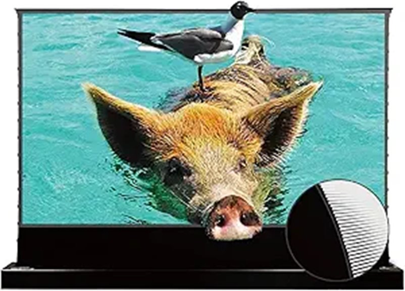 VIVIDSTORM Motorized Floor Rising Projector Screen