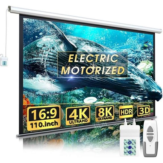 110 Motorized Indoor/Outdoor Projector Screen
