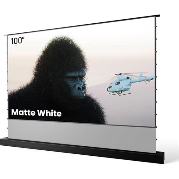 AWOL VISION 100 Motorized Projector Screen