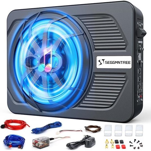 1000W Slim Under-Seat Car Subwoofer with Amp