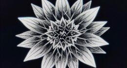 sharpness causes halo artifacts