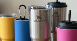 top stanley tumbler add ons