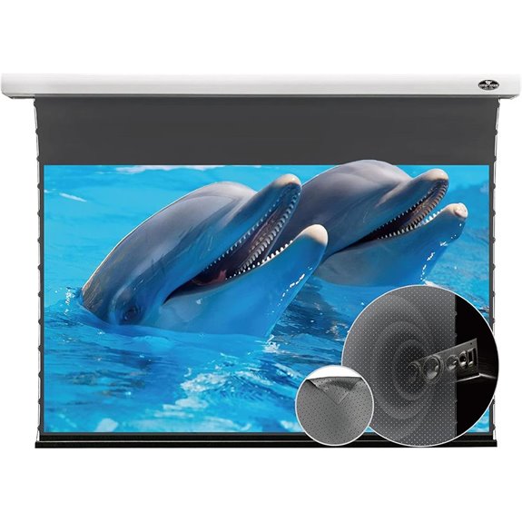 VIVIDSTORM ALR Drop Down Projector Screen