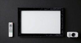 11 Best Projector Screens With Velvet Frame Under $1000 in 2026