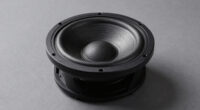 13 Best Subwoofer For Wood Floor Room In 2026