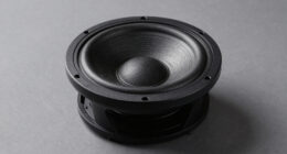 13 Best Subwoofer For Wood Floor Room In 2026