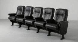 15 Best Curved Theater Seating Row Under $5000 in 2026