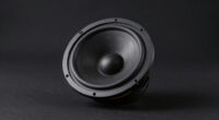 8 Best 12 Inch Ported Subwoofer for Deep Bass in 2026